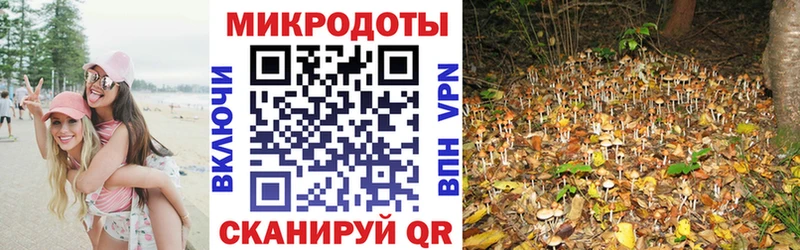 МЕГА   хочу наркоту  Белый  Галлюциногенные грибы Psilocybe 